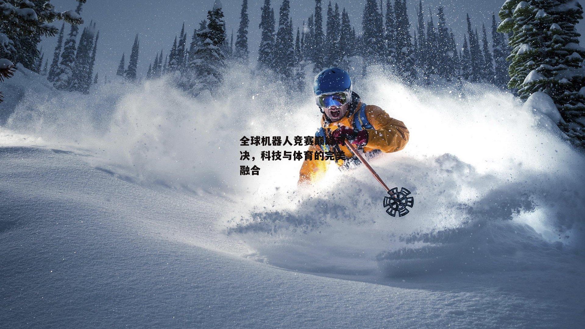 全球机器人竞赛巅峰对决，科技与体育的完美融合